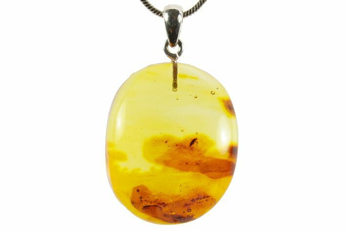 Polished Baltic Amber Pendant (Necklace) - Contains Fly! #367362